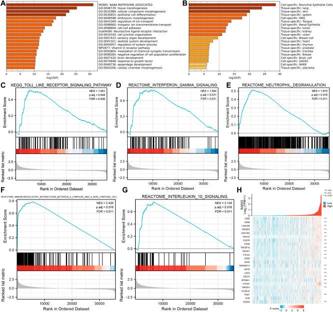 https://cdn.ncbi.nlm.nih.gov/pmc/blobs/0729/10170086/dea2ddfe32c1/41598_2023_34519_Fig7_HTML.jpg