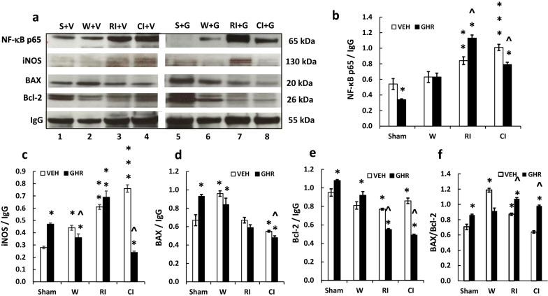 https://cdn.ncbi.nlm.nih.gov/pmc/blobs/0729/7216502/5108653806ee/13578_2020_425_Fig9_HTML.jpg