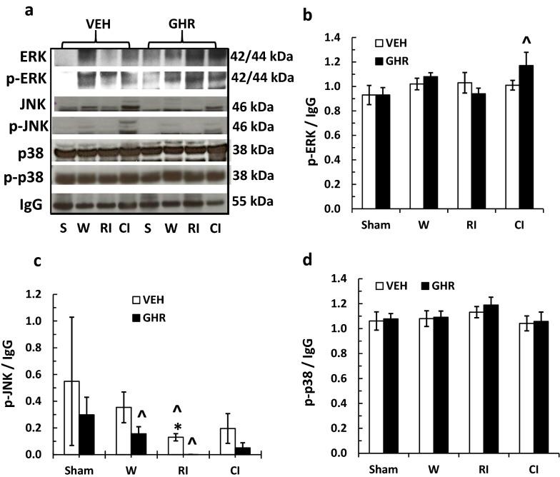 https://cdn.ncbi.nlm.nih.gov/pmc/blobs/0729/7216502/70cfdb00d25c/13578_2020_425_Fig8_HTML.jpg