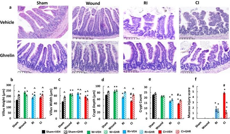 https://cdn.ncbi.nlm.nih.gov/pmc/blobs/0729/7216502/c18ff34fa9be/13578_2020_425_Fig5_HTML.jpg
