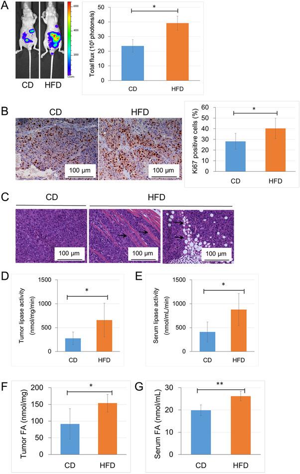 https://cdn.ncbi.nlm.nih.gov/pmc/blobs/0729/8118591/15df40e01d69/CAC2-41-389-g001.jpg