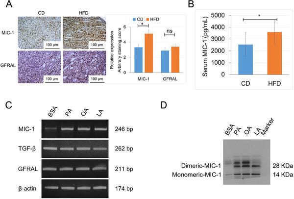 https://cdn.ncbi.nlm.nih.gov/pmc/blobs/0729/8118591/640520e4fd54/CAC2-41-389-g003.jpg