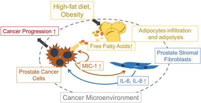 https://cdn.ncbi.nlm.nih.gov/pmc/blobs/0729/8118591/e2240c693b6a/CAC2-41-389-g005.jpg