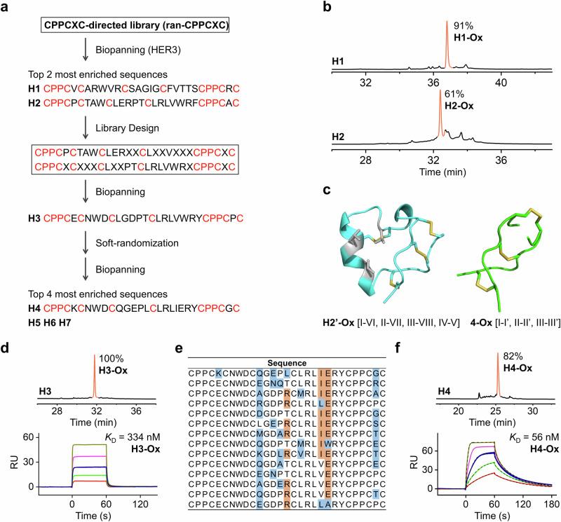https://cdn.ncbi.nlm.nih.gov/pmc/blobs/072d/11379947/1b7c06d4c55b/41467_2024_51723_Fig4_HTML.jpg