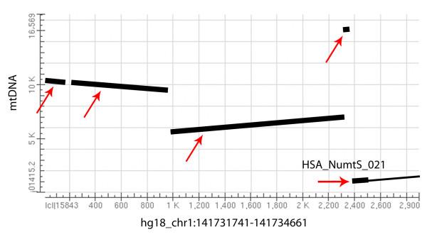 https://cdn.ncbi.nlm.nih.gov/pmc/blobs/072f/3228558/085d499d68da/1471-2164-12-517-1.jpg