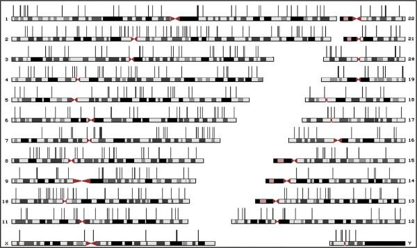 https://cdn.ncbi.nlm.nih.gov/pmc/blobs/072f/3228558/843138f8f31f/1471-2164-12-517-2.jpg