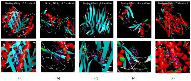 https://cdn.ncbi.nlm.nih.gov/pmc/blobs/072f/9312506/abfa492c604f/biomedicines-10-01739-g002.jpg