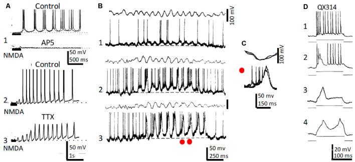 https://cdn.ncbi.nlm.nih.gov/pmc/blobs/0730/7970048/206d8ac85596/fncel-15-649262-g0002.jpg