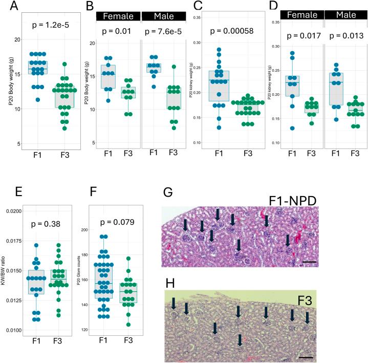 https://cdn.ncbi.nlm.nih.gov/pmc/blobs/0732/11533620/5bfddfc40eb2/gr6.jpg