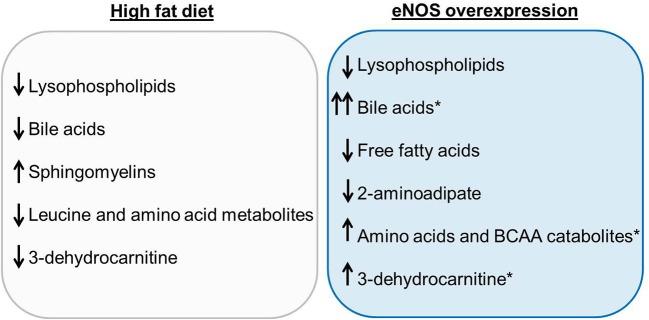 https://cdn.ncbi.nlm.nih.gov/pmc/blobs/0738/4243488/6434e4fe1ec7/fphys-05-00453-g0007.jpg
