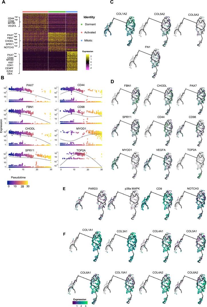 https://cdn.ncbi.nlm.nih.gov/pmc/blobs/073c/10645425/4fff9ac705b6/elife-87081-fig4-figsupp2.jpg