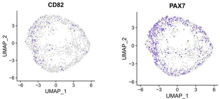 https://cdn.ncbi.nlm.nih.gov/pmc/blobs/073c/10645425/6effeb94dd77/elife-87081-sa3-fig3.jpg