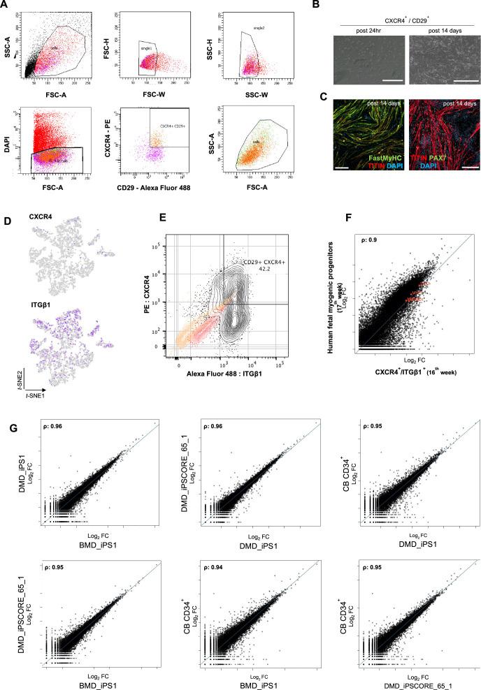 https://cdn.ncbi.nlm.nih.gov/pmc/blobs/073c/10645425/7191658e713c/elife-87081-fig4-figsupp3.jpg