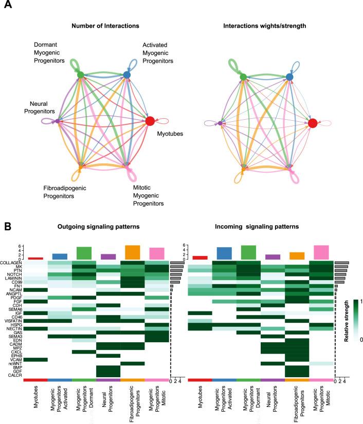 https://cdn.ncbi.nlm.nih.gov/pmc/blobs/073c/10645425/74c119f92504/elife-87081-fig4-figsupp5.jpg