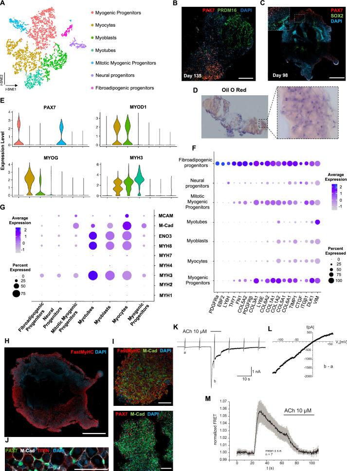 https://cdn.ncbi.nlm.nih.gov/pmc/blobs/073c/10645425/835c5cd812fc/elife-87081-fig3.jpg