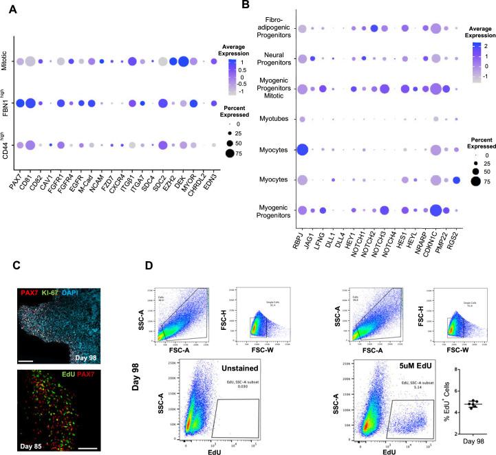 https://cdn.ncbi.nlm.nih.gov/pmc/blobs/073c/10645425/ea53284b1834/elife-87081-fig4-figsupp1.jpg