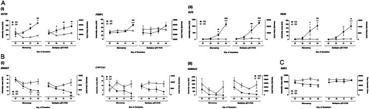 https://cdn.ncbi.nlm.nih.gov/pmc/blobs/073d/6170800/cf86f325646a/rep-156-313-g002.jpg