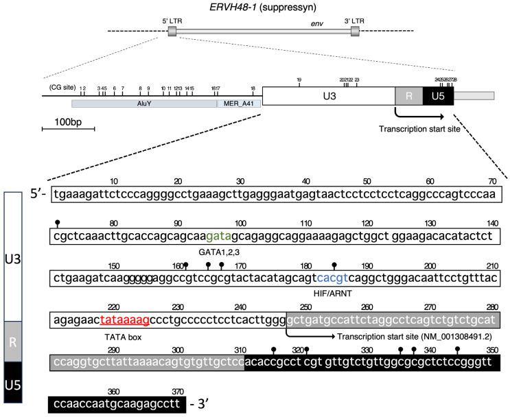 https://cdn.ncbi.nlm.nih.gov/pmc/blobs/073e/10668956/811a176ac56b/biomolecules-13-01627-g001.jpg