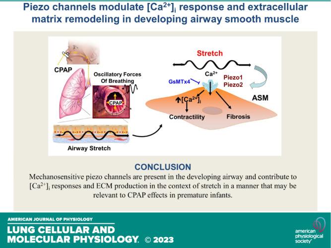 https://cdn.ncbi.nlm.nih.gov/pmc/blobs/0741/11068394/25d93b45dfc0/l-00008-2023r01.jpg