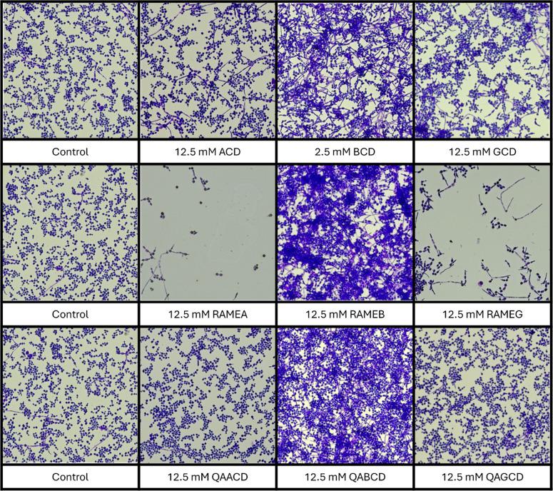https://cdn.ncbi.nlm.nih.gov/pmc/blobs/0741/12398212/388c76c0360e/gr7.jpg