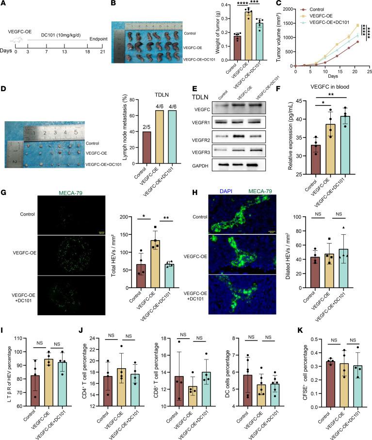 https://cdn.ncbi.nlm.nih.gov/pmc/blobs/0745/12288975/ae190dca7152/jciinsight-10-191041-g267.jpg
