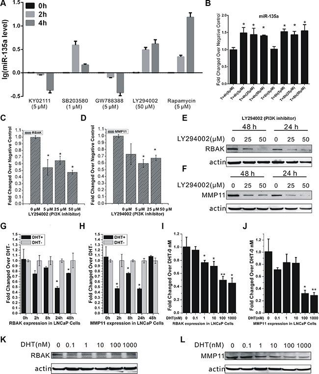 https://cdn.ncbi.nlm.nih.gov/pmc/blobs/0745/5239475/02ab20e25104/oncotarget-07-51284-g006.jpg