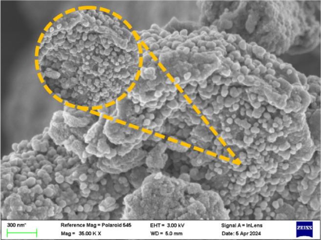 https://cdn.ncbi.nlm.nih.gov/pmc/blobs/0747/12223102/c85fdf67c1f5/41598_2025_8082_Fig8_HTML.jpg