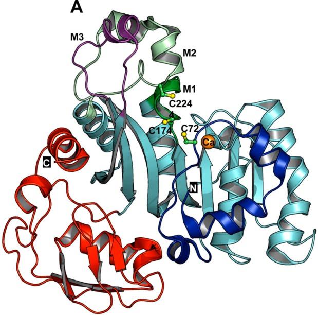 https://cdn.ncbi.nlm.nih.gov/pmc/blobs/0748/3797521/27b467b30188/cr-2012-00015c_0003.jpg