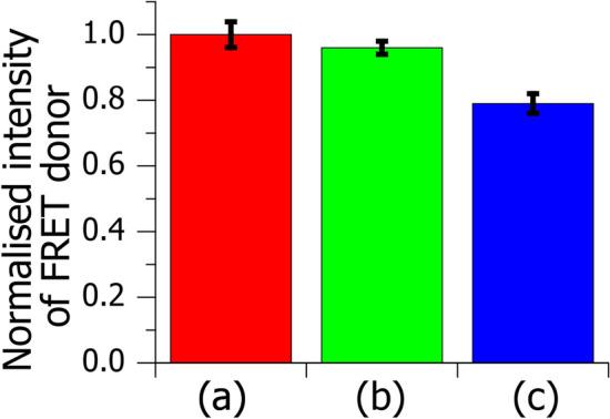 https://cdn.ncbi.nlm.nih.gov/pmc/blobs/0749/7752913/157b17165330/41598_2020_79083_Fig1_HTML.jpg