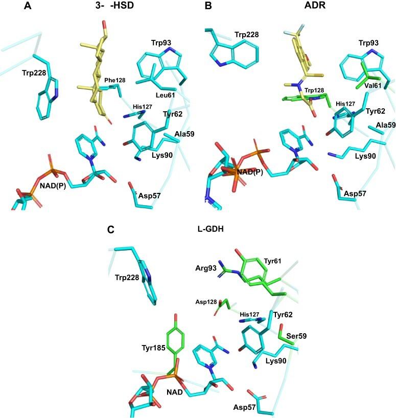https://cdn.ncbi.nlm.nih.gov/pmc/blobs/0749/9381564/b1b991e7007e/pcac090f6.jpg