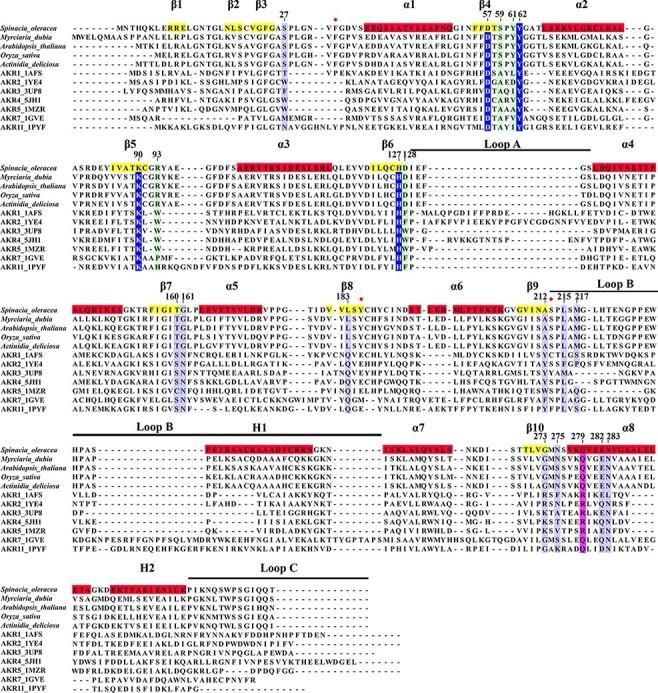https://cdn.ncbi.nlm.nih.gov/pmc/blobs/0749/9381564/c164545d75d9/pcac090f3.jpg