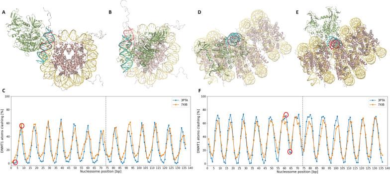 https://cdn.ncbi.nlm.nih.gov/pmc/blobs/074a/12427118/1a9240fccf0b/13072_2025_626_Fig6_HTML.jpg