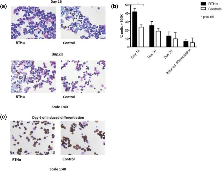 https://cdn.ncbi.nlm.nih.gov/pmc/blobs/074a/5587074/6aba1d8e64e5/jc.2017-00840f3.jpg