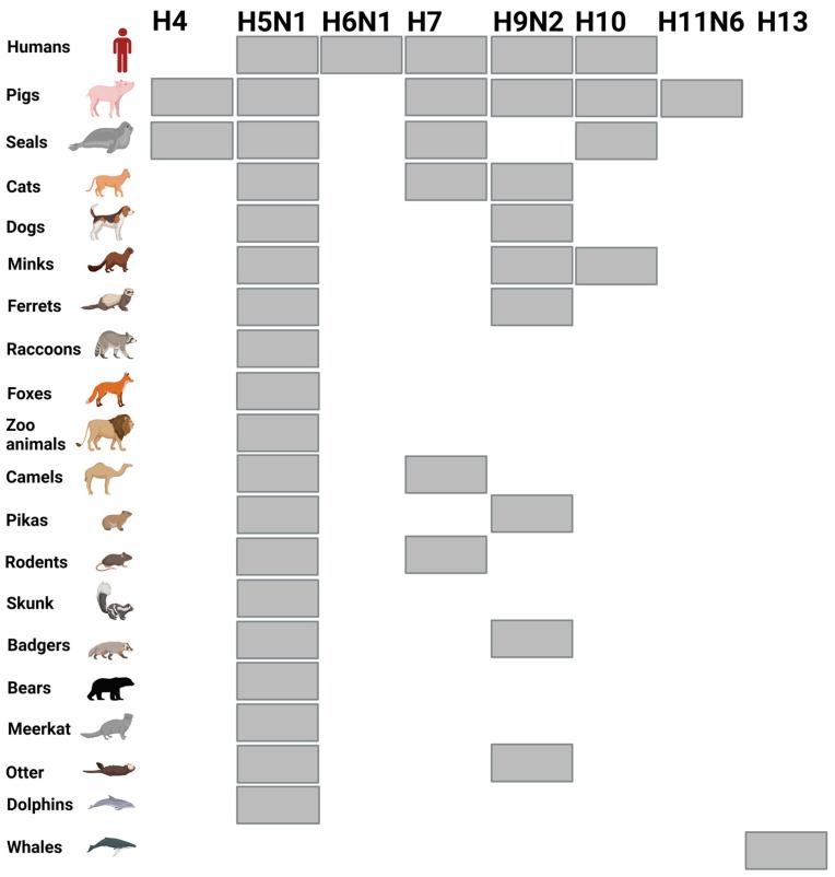 https://cdn.ncbi.nlm.nih.gov/pmc/blobs/074b/10145017/c8c96f2fef72/viruses-15-00980-g002.jpg