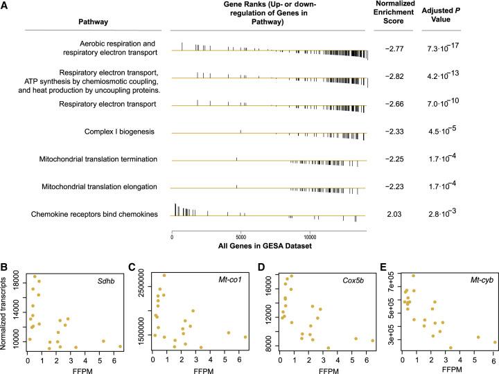 https://cdn.ncbi.nlm.nih.gov/pmc/blobs/074b/11789635/76a84b653efd/55f07.jpg