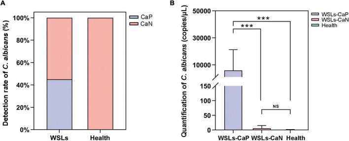 https://cdn.ncbi.nlm.nih.gov/pmc/blobs/0750/9902512/30d3b578dac5/fmicb-14-1084850-g003.jpg
