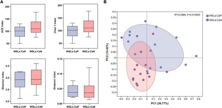https://cdn.ncbi.nlm.nih.gov/pmc/blobs/0750/9902512/49292f40e859/fmicb-14-1084850-g004.jpg