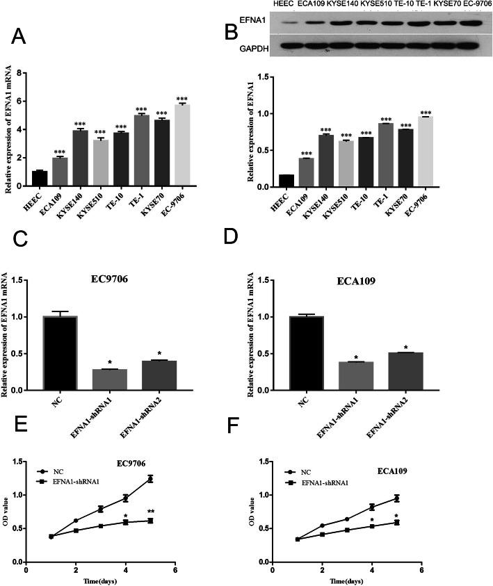 https://cdn.ncbi.nlm.nih.gov/pmc/blobs/0754/8369630/df7d650b31dc/12957_2021_2362_Fig4_HTML.jpg