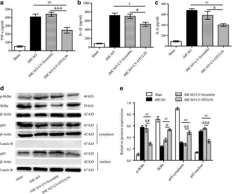 https://cdn.ncbi.nlm.nih.gov/pmc/blobs/0755/5856386/0f0cedea4f7e/12974_2018_1117_Fig6_HTML.jpg