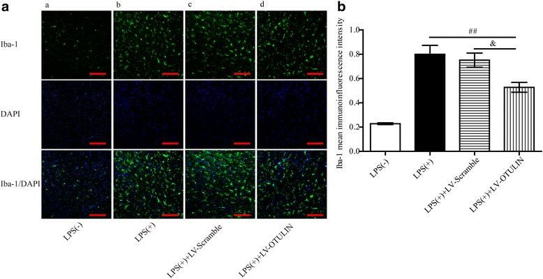 https://cdn.ncbi.nlm.nih.gov/pmc/blobs/0755/5856386/2f2d9b46eb19/12974_2018_1117_Fig4_HTML.jpg