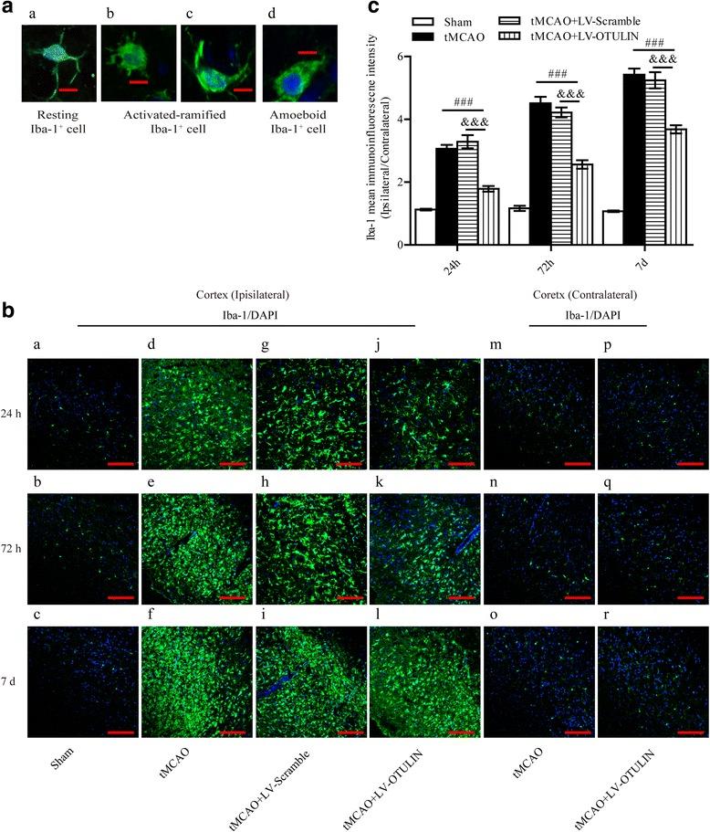 https://cdn.ncbi.nlm.nih.gov/pmc/blobs/0755/5856386/9f67067531ce/12974_2018_1117_Fig3_HTML.jpg