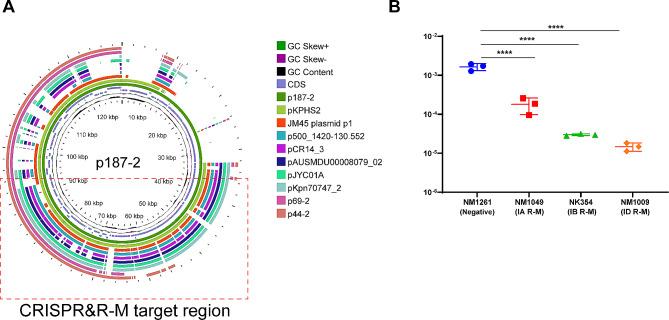 https://cdn.ncbi.nlm.nih.gov/pmc/blobs/0756/11223367/9d95f29e7bde/12866_2024_3381_Fig3_HTML.jpg