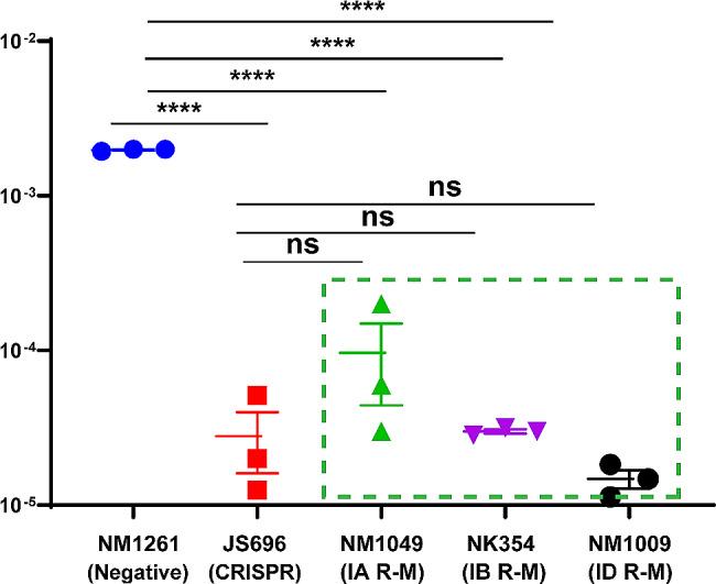 https://cdn.ncbi.nlm.nih.gov/pmc/blobs/0756/11223367/e2ce63cf8d39/12866_2024_3381_Fig4_HTML.jpg