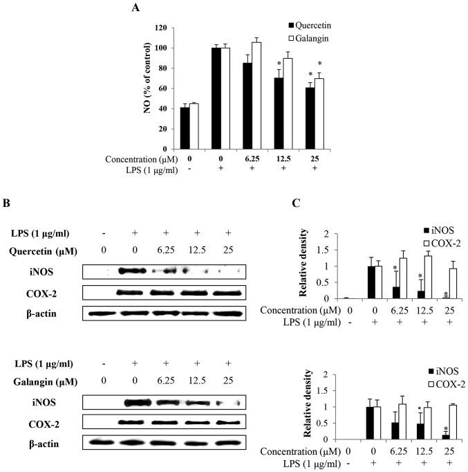 https://cdn.ncbi.nlm.nih.gov/pmc/blobs/0756/5752163/33d37927a0bb/IJMM-41-02-0888-g01.jpg