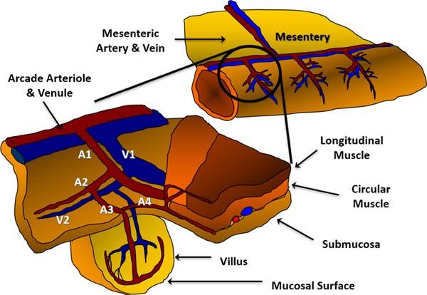 https://cdn.ncbi.nlm.nih.gov/pmc/blobs/0757/6929513/800397184bc5/qmj-2019-019-g001.jpg