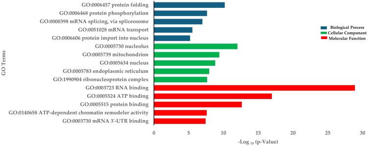 https://cdn.ncbi.nlm.nih.gov/pmc/blobs/0759/12040688/8484e9e9ffe2/fendo-16-1571111-g004.jpg