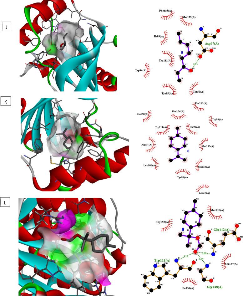 https://cdn.ncbi.nlm.nih.gov/pmc/blobs/075a/11010433/27e169ed1a16/12906_2024_4457_Fig7_HTML.jpg