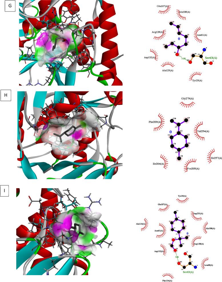 https://cdn.ncbi.nlm.nih.gov/pmc/blobs/075a/11010433/5445d63f7806/12906_2024_4457_Fig6_HTML.jpg