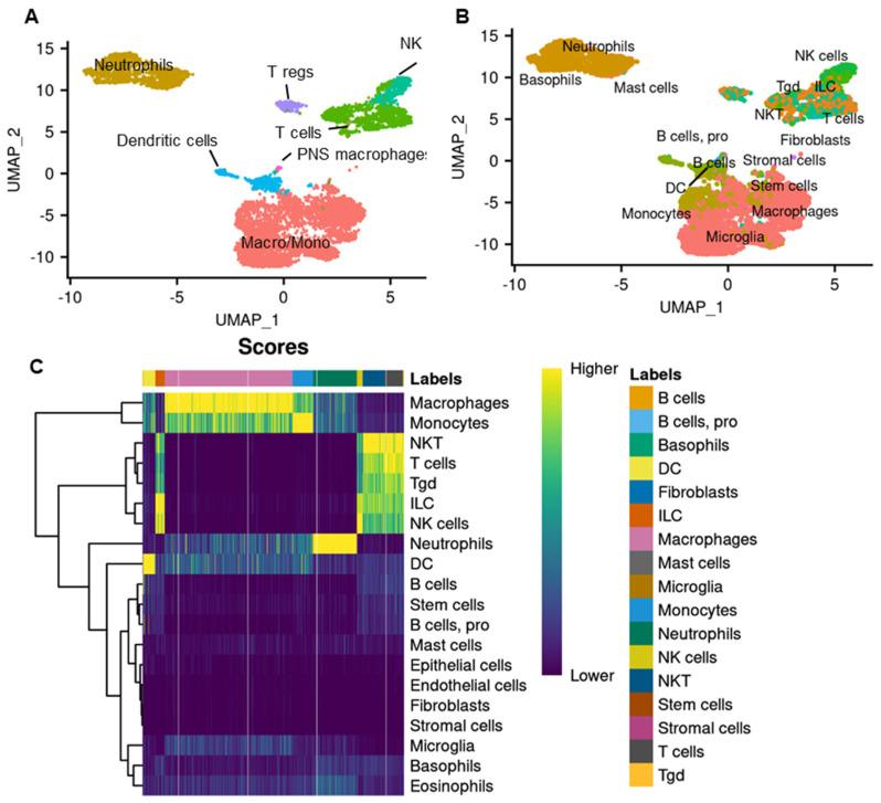 https://cdn.ncbi.nlm.nih.gov/pmc/blobs/075a/11047833/24d91db67d98/biomedicines-12-00920-g002.jpg