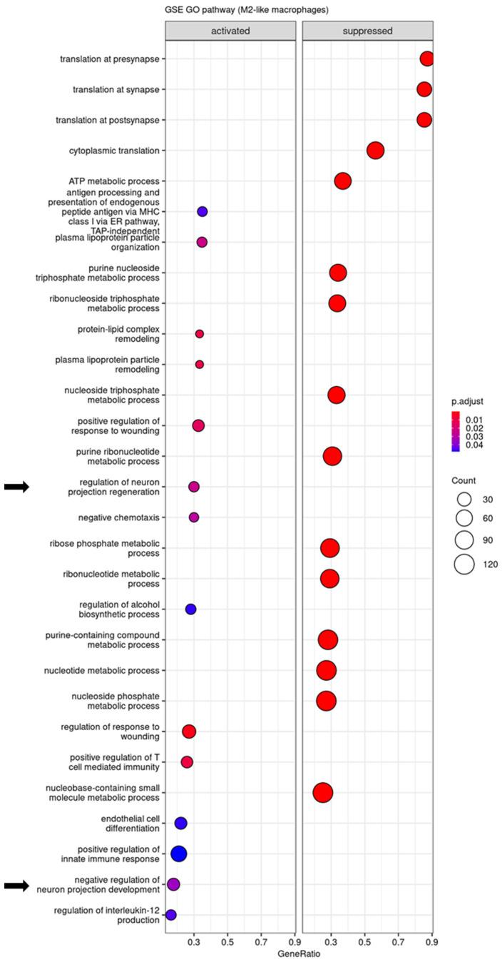 https://cdn.ncbi.nlm.nih.gov/pmc/blobs/075a/11047833/5452af4bb045/biomedicines-12-00920-g005.jpg